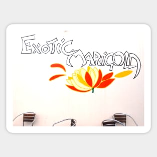 Magic Marigold Sticker